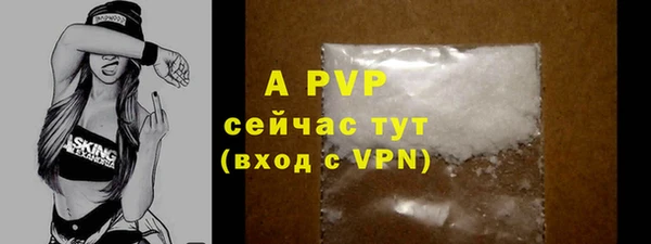 крисы Покачи