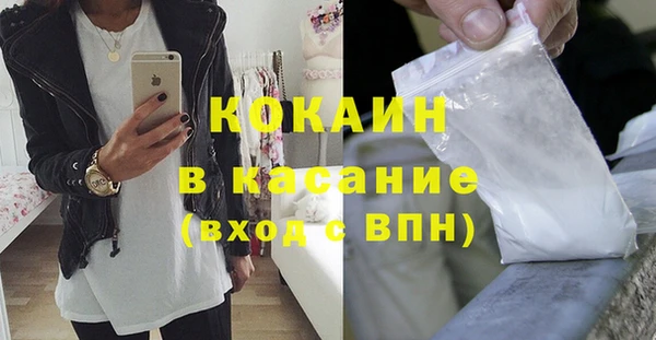 крисы Покачи