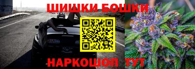 крисы Беслан