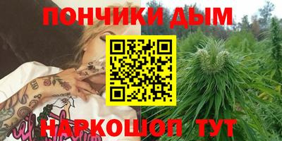 крисы Беслан