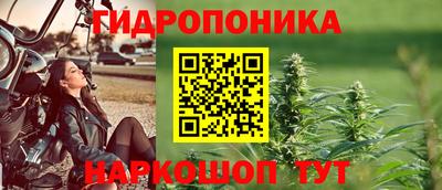 эйфоретик Бийск
