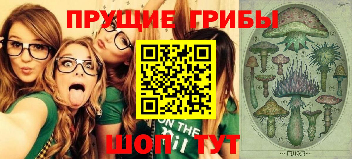 Кострома  Галлюциногенные грибы прущие грибы  Вход с VPN 
