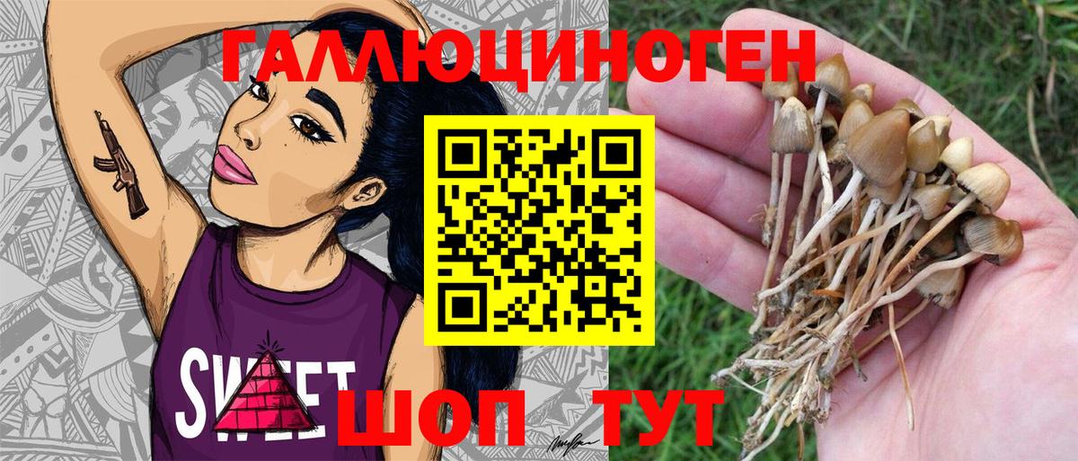 Галлюциногенные грибы мухоморы Кострома