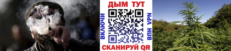 кракен маркетплейс  Кострома  Бошки марихуана THC 21%  закладки 